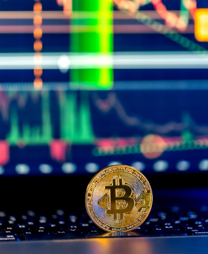 Fon Vaultaris Ticaret Bilgileri